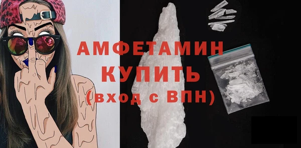 индика Нязепетровск