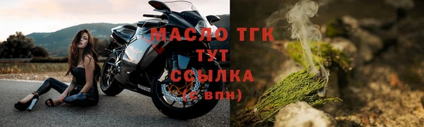 индика Нязепетровск