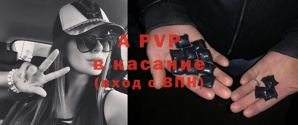 индика Нязепетровск