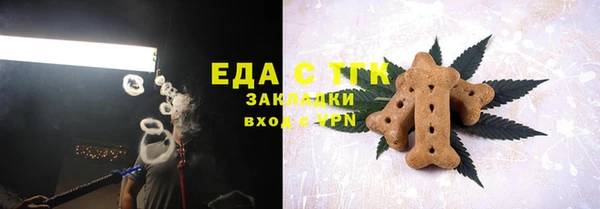 индика Нязепетровск