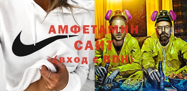 индика Нязепетровск