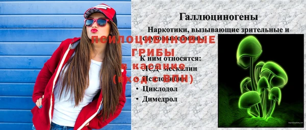 первитин Няндома