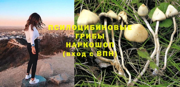 первитин Няндома
