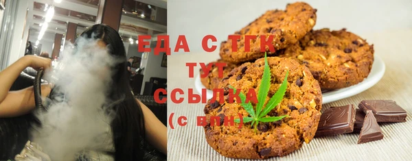 индика Нязепетровск