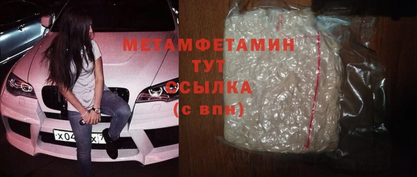 индика Нязепетровск