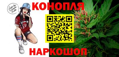 Альфа ПВП Донской