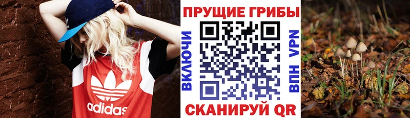 Псилоцибиновые грибы Magic Shrooms  Сафоново 