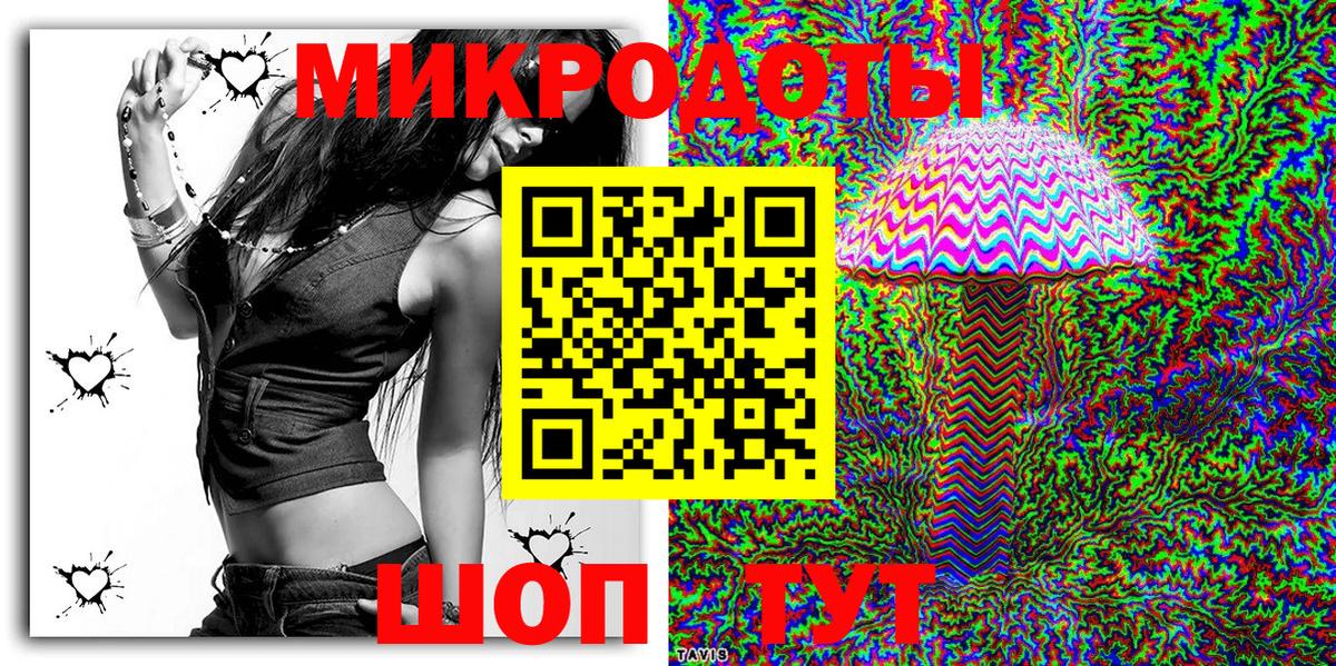 Псилоцибиновые грибы Psilocybe Сафоново