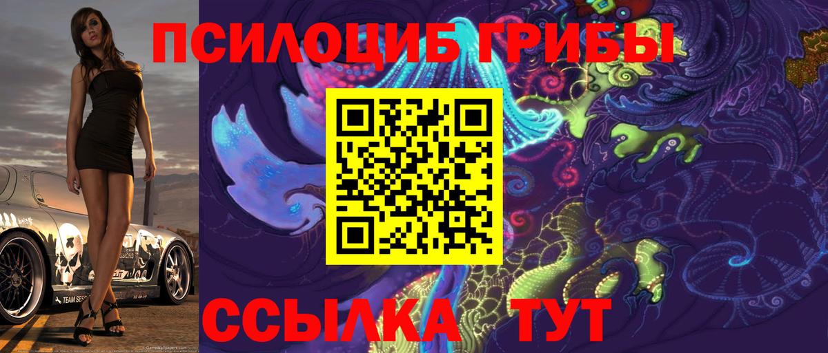 наркота  Вход с VPN  Сафоново  Псилоцибиновые грибы GOLDEN TEACHER 